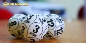 Song Thủ Lô – Kinh Nghiệm Và Cách Nuôi Hiệu Quả 2026